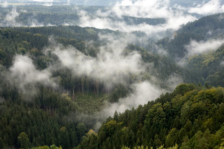 low clouds in the sandstone mountains of the Czech Republic