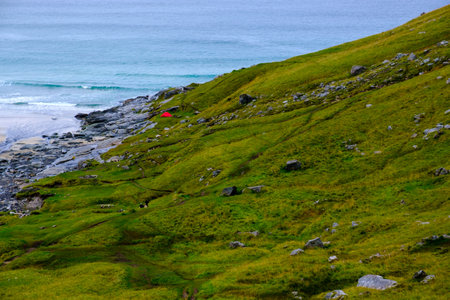 Lofoten beach view, wild beach in norway, north seaの写真素材