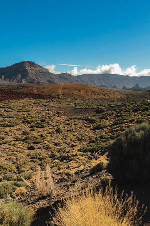 lava fields at the foot of Teide volcano, Canary Islandsの写真素材
