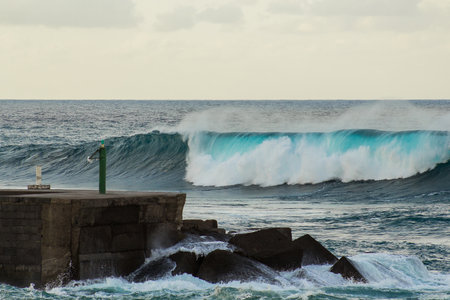surf big waves of the Atlantic Ocean in the Canary Islands