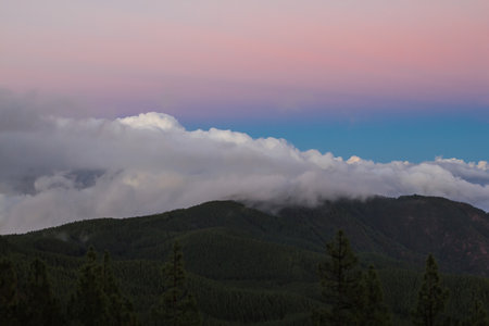green slopes of the volcano teide Canary Islandsの写真素材