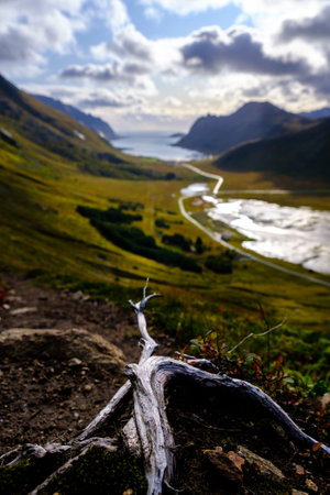 landscape with foreground from the top of the mountain, Lofoten islands, norwayの写真素材
