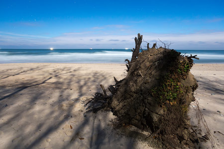 wooden siding on the beach, full moon, night light, Baltic Seaの写真素材
