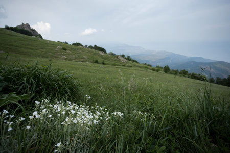 mountain landscape, the valley of ghosts, grass, rocks, mountain Crimea Trekking in the Crimeaの写真素材