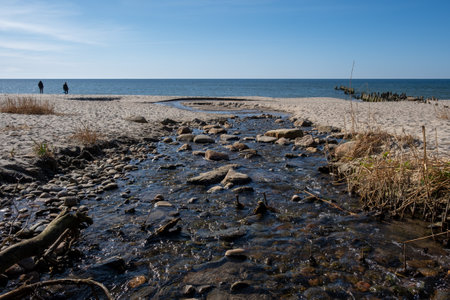 stream flowing into the Baltic Seaの写真素材