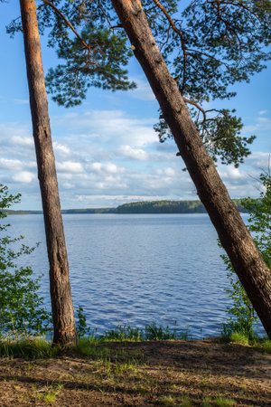 rocky shores of Karelian lakes, forest lakeの写真素材