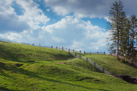 alpine meadows empty pasturesの写真素材