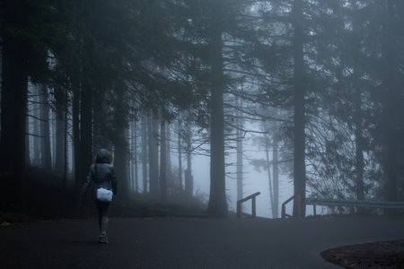 girl in the dramatic forest in the fogの写真素材