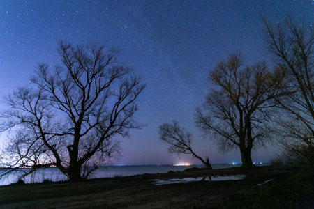 Milky Way over the sea at night with silhouettes of treesの写真素材