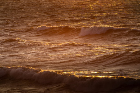 Wind waves in the baltic sea, storm at sea at sunsetの写真素材