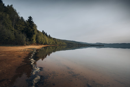Beautiful forest on the lake, the perspective of the shore stretching into the distance, Shaori Reservoir Georgiaの写真素材