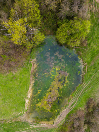 Top view of a small lake among the trees, aerial view