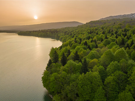 Aerial view of beautiful lake and forest at sunset. Nature composition.の写真素材
