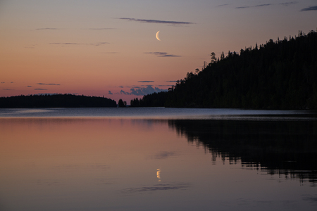Half moon in the night sky. Dark forestの写真素材