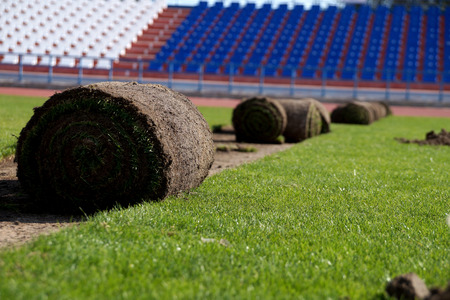 Laying of a grass rolled lawn at sports stadiumの写真素材