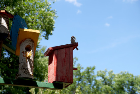 Lodge for birds – a nesting box on tourist base about Volgograd