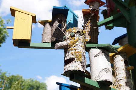 Lodge for birds  a nesting box on tourist base about Volgogradの写真素材