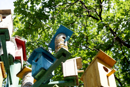 Lodge for birds  a nesting box on tourist base about Volgogradの写真素材