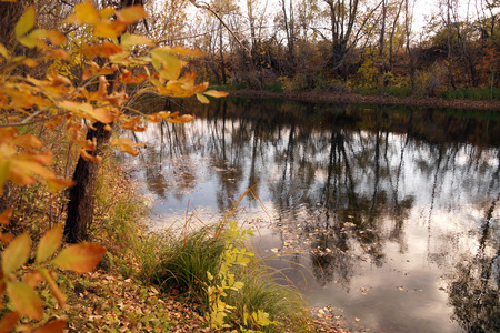 Autumn etude on the bank of a small reservoirの写真素材