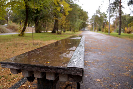 Wet bench in a city Park in the autumn seasonの写真素材