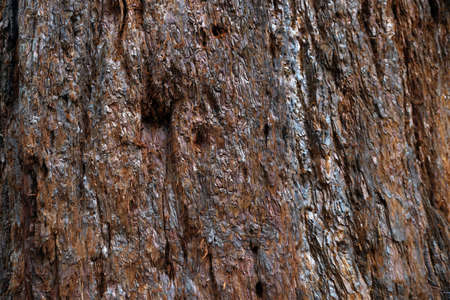 House wall element revetted with a natural stoneの写真素材
