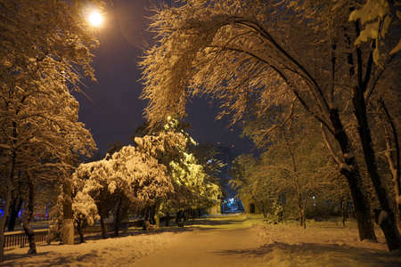 Snow-covered alley of the Park in the city of Volgograd in Russiaの写真素材