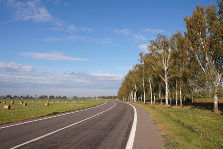 A road in the countryside between birch trees and a field with hay rolls in Belarusの写真素材