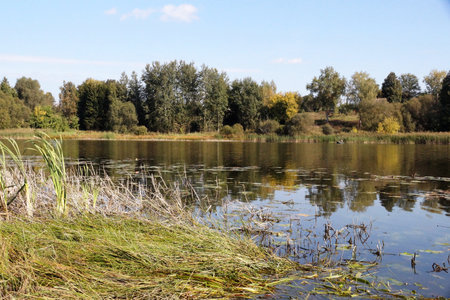 The picturesque bank of the Bystraya River near the village of Gory Goretsky district in Belarusの写真素材
