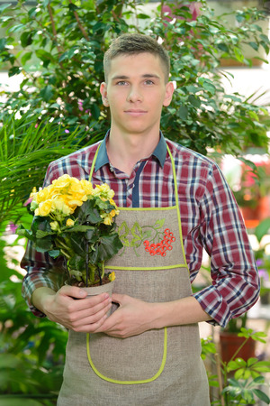 Portrait of a young man florist that cares for the flowers in the greenhouseの写真素材