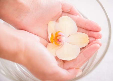 Close-up of woman's hands with glass bowl of water with orchid.の写真素材