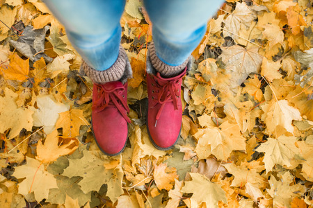 Feet woman close up during a walk in the park in autumnの写真素材