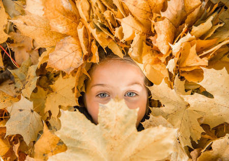 Portrait of a happy little girl having fun with yellow leaves while walking in autumn parkの写真素材