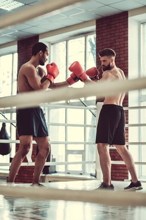 Handsome young muscular boxers with bare torsos are practicing at the fight clubの写真素材