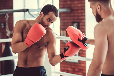 Handsome young muscular boxers with bare torsos are practicing at the fight clubの写真素材