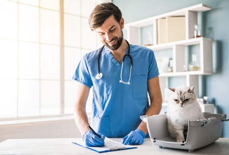 Handsome young veterinarian is examining a cute cat, taking notes and smiling while working in clinicの写真素材