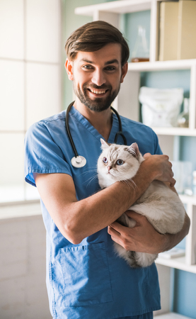 Handsome young veterinarian is holding a cute cat, looking at camera and smiling while standing in officeの写真素材