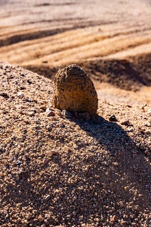 Closeup of sands of the desert , close up view desert sands backgroundの写真素材