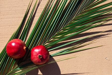 Palm branch in the sand and two pomegranate fruitsの写真素材
