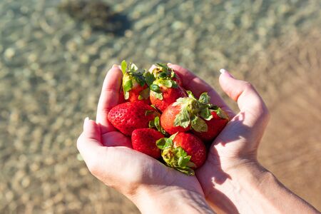 strawberries on the background of the seaの写真素材