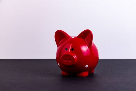 Piggy bank on a black white background, money financial savings concept.の写真素材