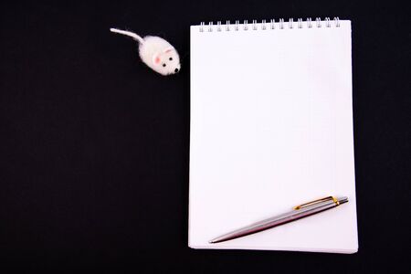 Insurance form with pen and white wool toy mouse on a black backgroundの写真素材