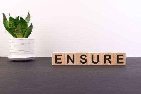 Ensure health concept on a table of wooden cubes and a flower on a light backgroundの写真素材