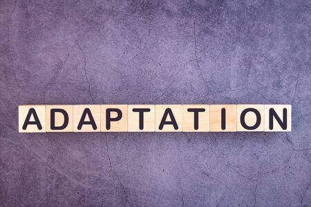 ADAPTATION word made with wood building blocksの写真素材