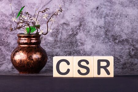 Word CSR made with wood building blocks on a gray backgroundの写真素材