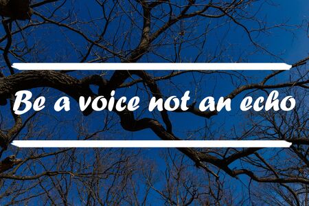 Inspirational Quote - Be a Voice Not An Echo.