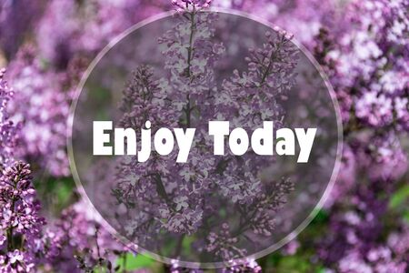 Inspirational Typographic Quote on a natural background - Enjoy todayの写真素材