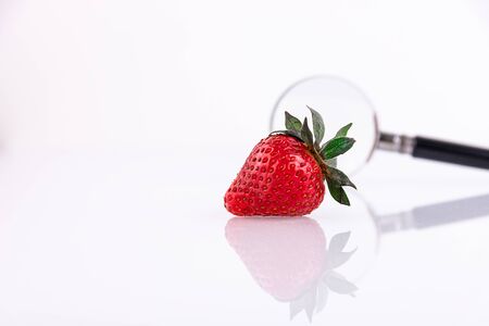One single fresh strawberry on a white background with a magnifying glass. The concept of healthy food and environmentally friendly products.の写真素材
