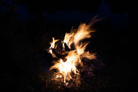 Bonfire, fire, smoke on a background of nature.の写真素材
