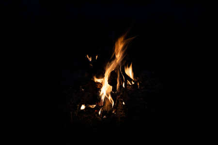 Bonfire, fire, smoke on a background of nature.の写真素材