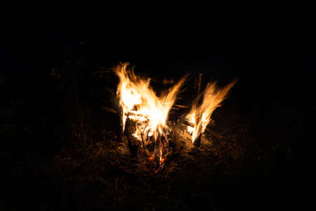 Bonfire, fire, smoke on a background of nature.